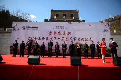 金山嶺上杏花雪，承德春韻醉游人——2018承德賞花季暨第六屆金山嶺長城杏花節盛大啟幕